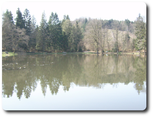 L'Etang de la Demoiselle, aux sources de l'Augronne