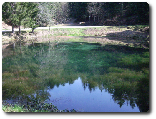 L'Etang du Renard, source de l'Augronne