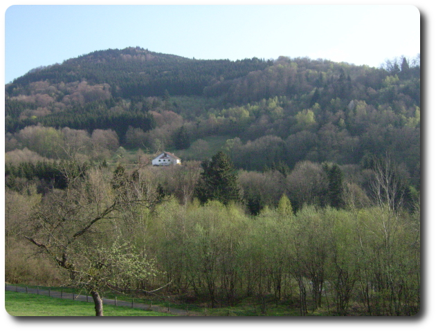 Ferme vosgienne dans la fort,  Vecoux