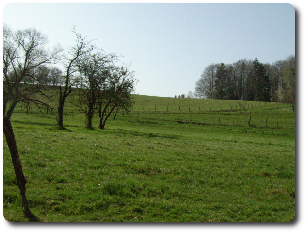 Les prs de Grardfaing (590 mtres),  Bellefontaine