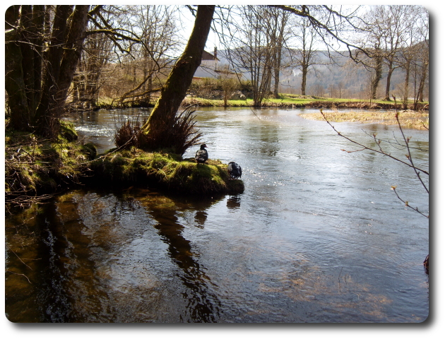 La Moselle  Hielle vers l'amont