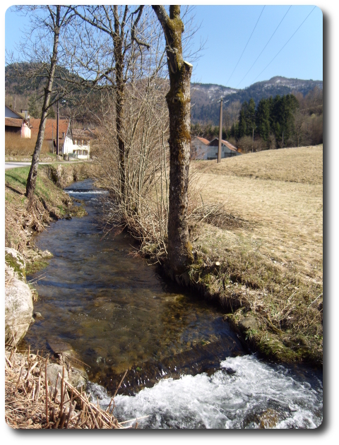 La Moselle entre Champ et Taye, le long de la route des Sources