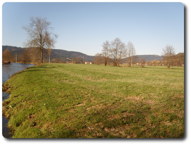 La Moselle et la plaine de Dommartin-ls-Remiremont, prs de l'Etang des Aulnes