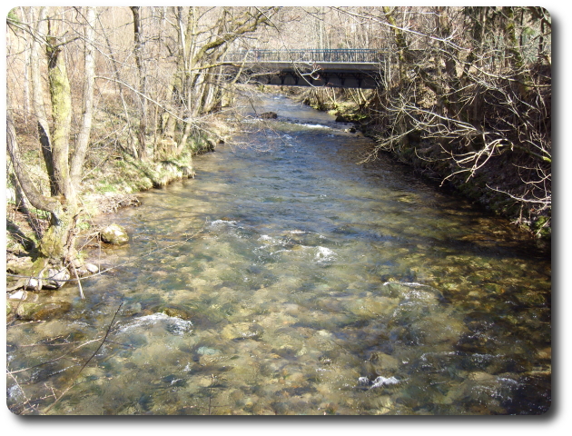 La Moselle et le pont de la Voie Verte, en aval de la jonction avec le Ruisseau des Charbonniers