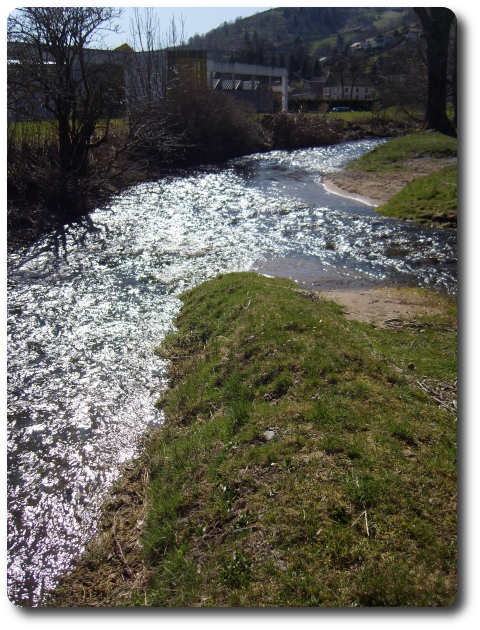 La confluence de la Moselle  gauche et du Ruisseau de la Hutte  droite