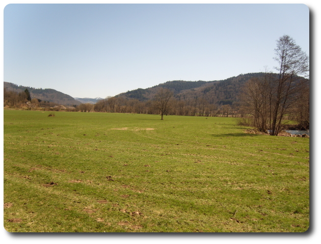 La plaine de Longchamp et l'ubac de Ferdrupt; au fond la Tte de la Bouloie (1166 mtres)