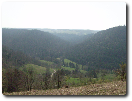 La haute valle de la Combeaut,  la sortie de la Fort Domaniale d'Hrival