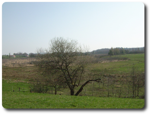 Vue des Hauts de Bellefontaine, aux sources de la Smouse