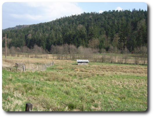 Val de Combeaut en aval du Prieur d'Hrival