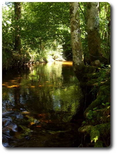 Le Breuchin au niveau de la Forge