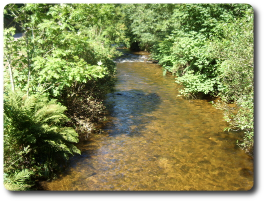 Le Breuchin en aval de La Longine