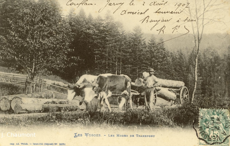 Mode de transport dans les Vosges au début du 20ème siècle