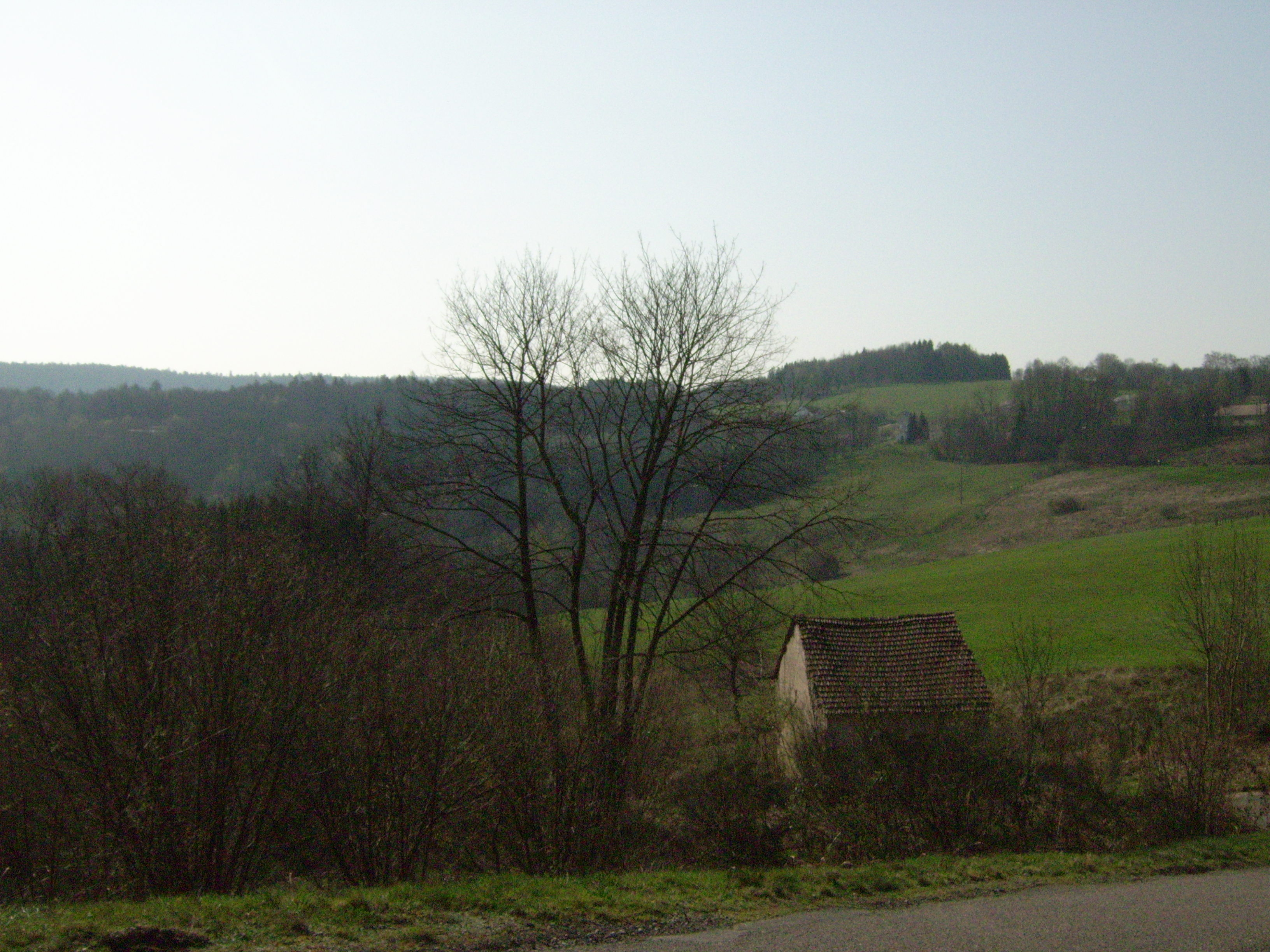 Paysage de transition entre Vge et Vosges Moyennes, prs de Remiremont