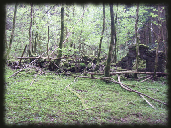 La ruine de Ligebierupt,  Rupt-sur-Moselle