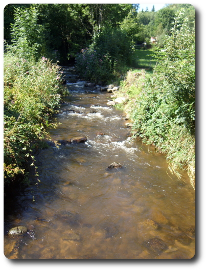 Le Ruisseau de la Croslire,  La Longine
