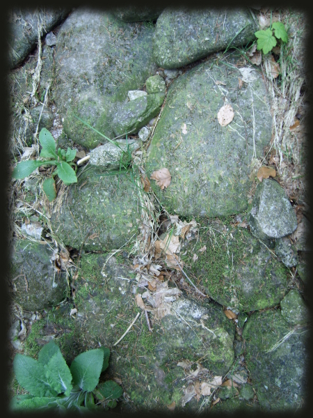 Structure du pavage mis  nu, sur le chemin de Ligebierupt