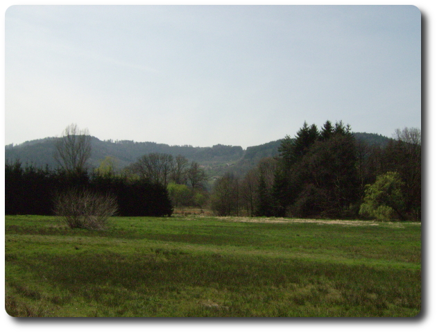 Vue sur les Fches depuis la Poirie, dans la valle de la Haute Moselle