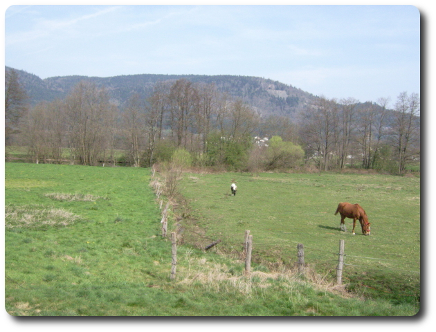 Vue vers la Moselotte à Peccavillers